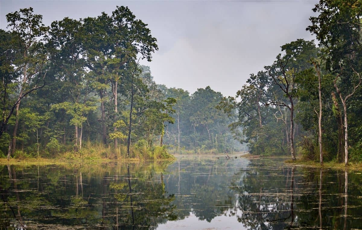 Chitwan