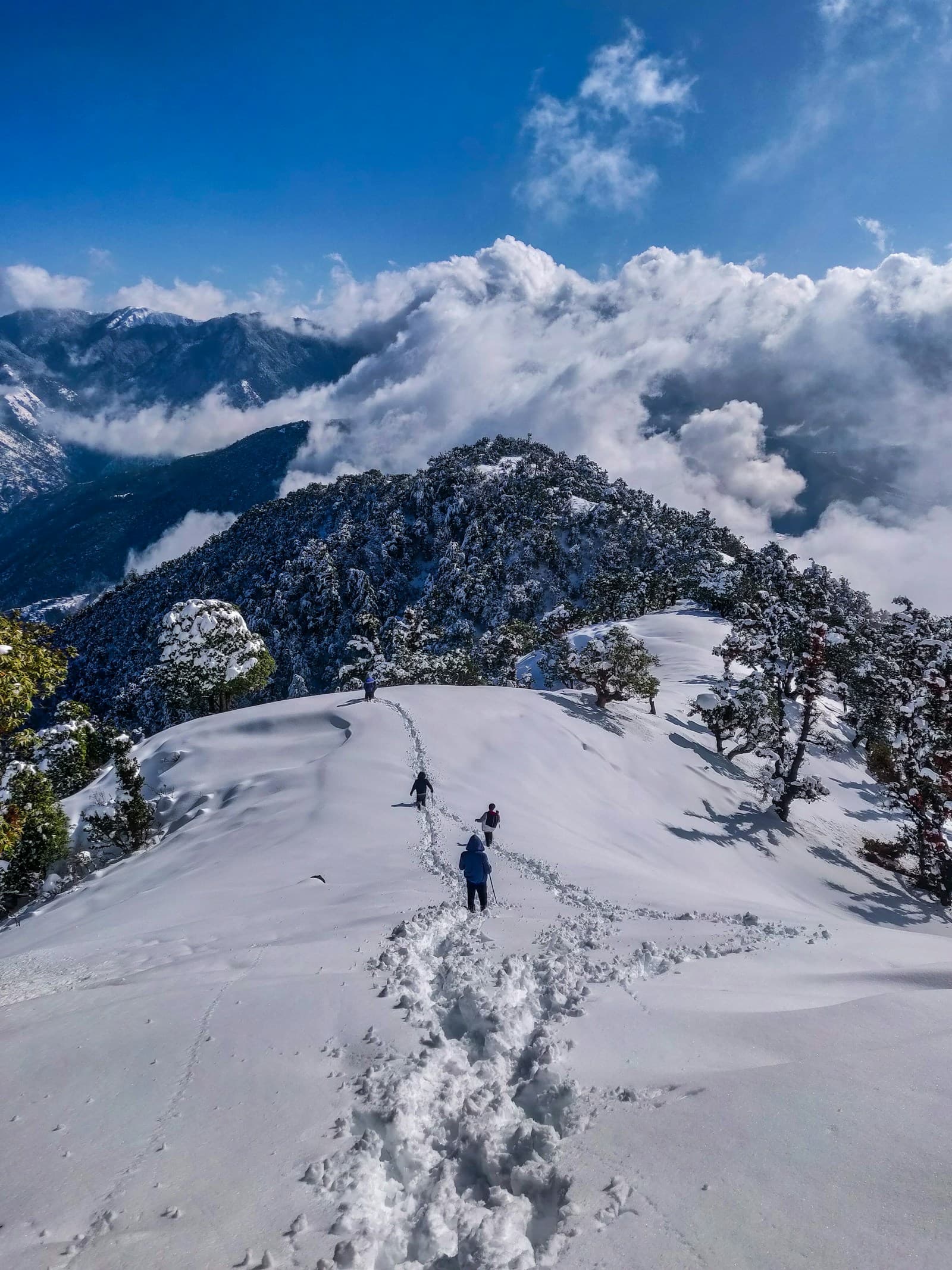 Ladakh aventure