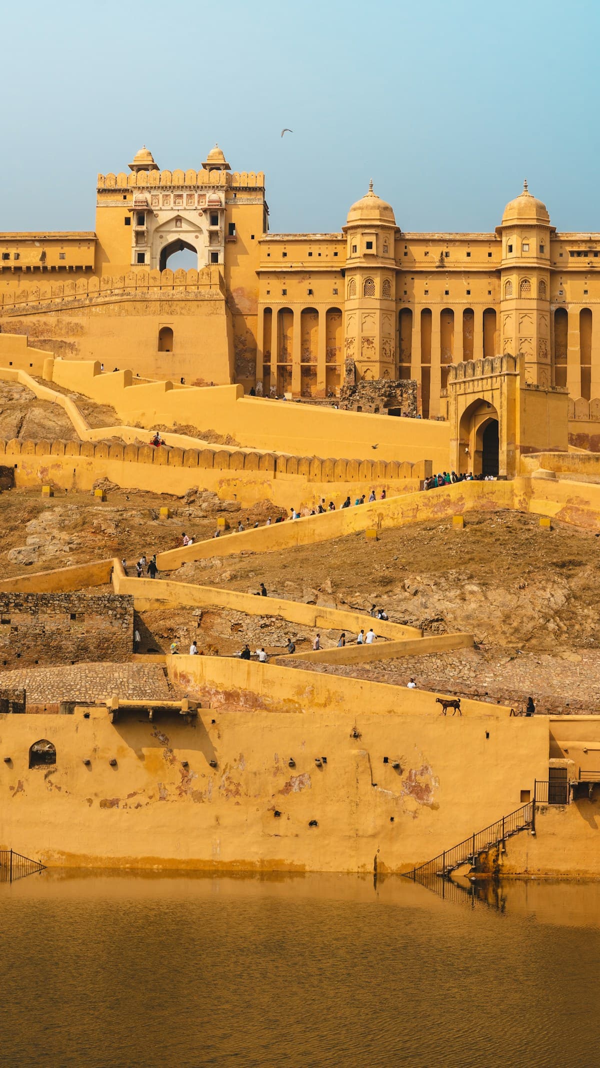 Patrimoine central — 7 jours