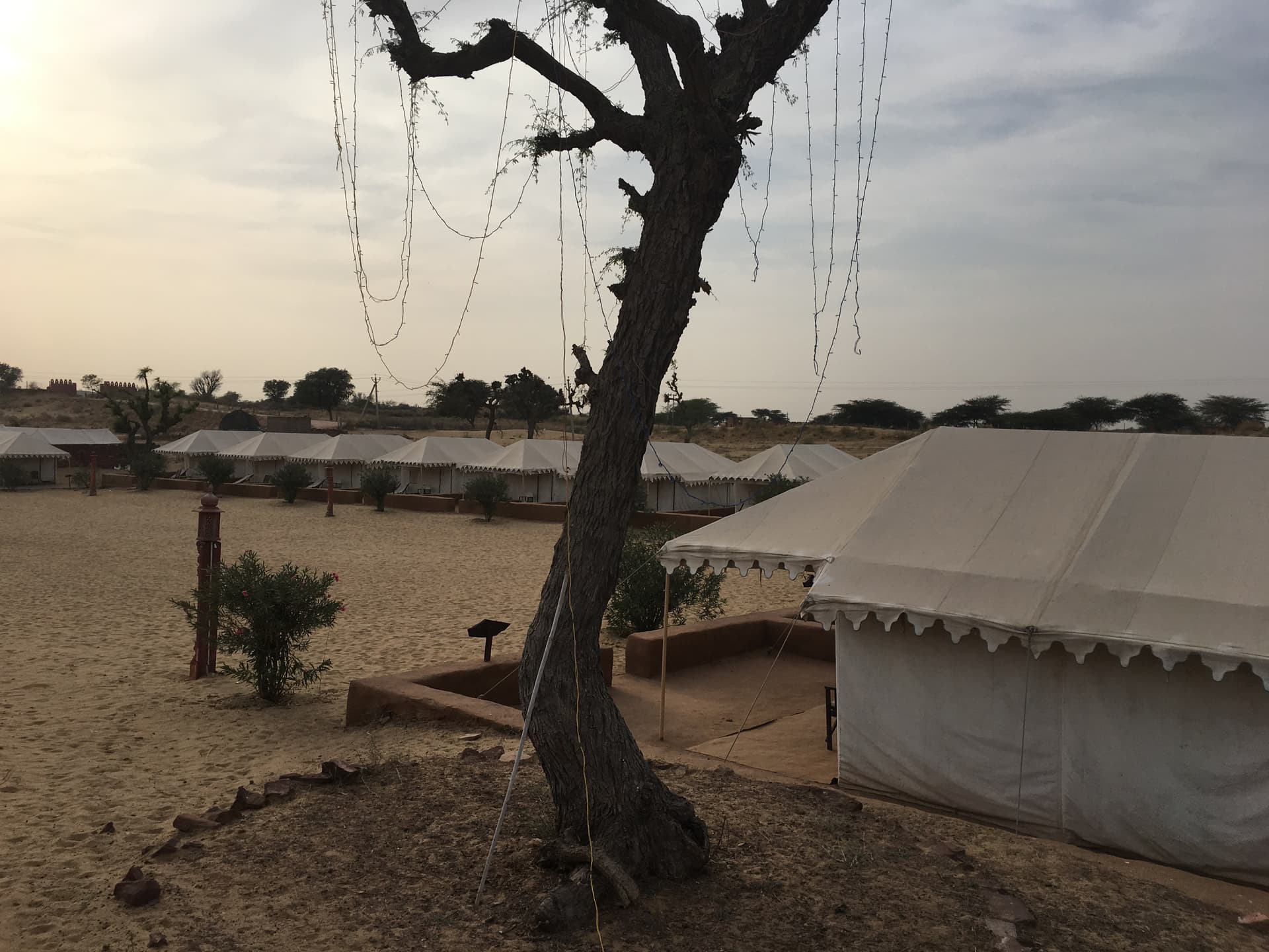 Rajasthan & désert — 8 jours