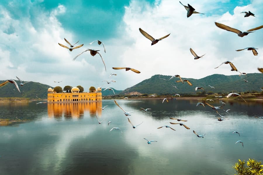 Delhi → Jaipur